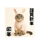 毎年使えるアメリカンショートヘア年末年始（個別スタンプ：32）