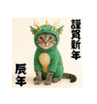 毎年使えるアメリカンショートヘア年末年始（個別スタンプ：33）