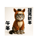 毎年使えるアメリカンショートヘア年末年始（個別スタンプ：35）