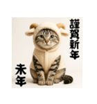 毎年使えるアメリカンショートヘア年末年始（個別スタンプ：36）