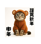 毎年使えるアメリカンショートヘア年末年始（個別スタンプ：37）