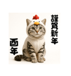 毎年使えるアメリカンショートヘア年末年始（個別スタンプ：38）