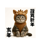 毎年使えるアメリカンショートヘア年末年始（個別スタンプ：40）