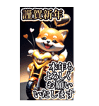 【BIG】バイク好き♡豆柴 年末年始 年賀 3D（個別スタンプ：2）