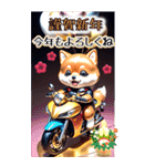 【BIG】バイク好き♡豆柴 年末年始 年賀 3D（個別スタンプ：6）