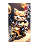 【BIG】バイク好き♡豆柴 年末年始 年賀 3D（個別スタンプ：8）