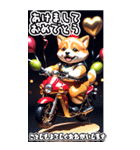 【BIG】バイク好き♡豆柴 年末年始 年賀 3D（個別スタンプ：12）