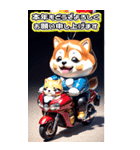 【BIG】バイク好き♡豆柴 年末年始 年賀 3D（個別スタンプ：13）