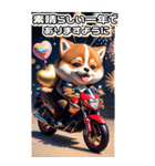 【BIG】バイク好き♡豆柴 年末年始 年賀 3D（個別スタンプ：16）