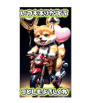 【BIG】バイク好き♡豆柴 年末年始 年賀 3D（個別スタンプ：18）