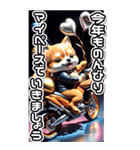 【BIG】バイク好き♡豆柴 年末年始 年賀 3D（個別スタンプ：19）