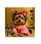 毎年使える♡ヨークシャテリアの年末年始（個別スタンプ：1）