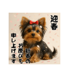 毎年使える♡ヨークシャテリアの年末年始（個別スタンプ：2）