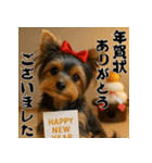毎年使える♡ヨークシャテリアの年末年始（個別スタンプ：3）