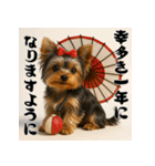毎年使える♡ヨークシャテリアの年末年始（個別スタンプ：4）