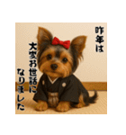 毎年使える♡ヨークシャテリアの年末年始（個別スタンプ：5）