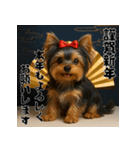 毎年使える♡ヨークシャテリアの年末年始（個別スタンプ：6）