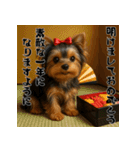 毎年使える♡ヨークシャテリアの年末年始（個別スタンプ：8）