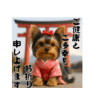 毎年使える♡ヨークシャテリアの年末年始（個別スタンプ：11）
