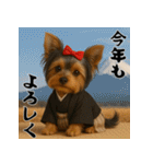 毎年使える♡ヨークシャテリアの年末年始（個別スタンプ：12）