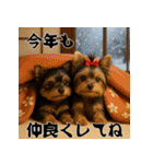 毎年使える♡ヨークシャテリアの年末年始（個別スタンプ：13）