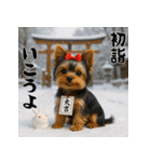 毎年使える♡ヨークシャテリアの年末年始（個別スタンプ：14）