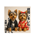 毎年使える♡ヨークシャテリアの年末年始（個別スタンプ：16）