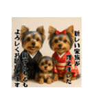 毎年使える♡ヨークシャテリアの年末年始（個別スタンプ：17）