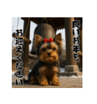 毎年使える♡ヨークシャテリアの年末年始（個別スタンプ：18）