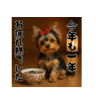 毎年使える♡ヨークシャテリアの年末年始（個別スタンプ：19）