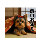 毎年使える♡ヨークシャテリアの年末年始（個別スタンプ：20）