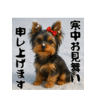 毎年使える♡ヨークシャテリアの年末年始（個別スタンプ：21）