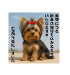 毎年使える♡ヨークシャテリアの年末年始（個別スタンプ：22）