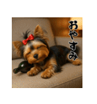 毎年使える♡ヨークシャテリアの年末年始（個別スタンプ：24）