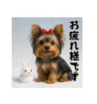 毎年使える♡ヨークシャテリアの年末年始（個別スタンプ：25）