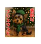 毎年使える♡ヨークシャテリアの年末年始（個別スタンプ：27）