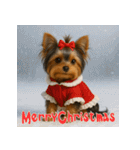 毎年使える♡ヨークシャテリアの年末年始（個別スタンプ：28）