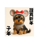 毎年使える♡ヨークシャテリアの年末年始（個別スタンプ：29）