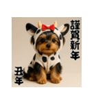 毎年使える♡ヨークシャテリアの年末年始（個別スタンプ：30）