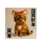 毎年使える♡ヨークシャテリアの年末年始（個別スタンプ：31）