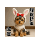毎年使える♡ヨークシャテリアの年末年始（個別スタンプ：32）
