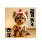 毎年使える♡ヨークシャテリアの年末年始（個別スタンプ：38）