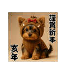 毎年使える♡ヨークシャテリアの年末年始（個別スタンプ：40）