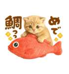 お正月猫にゃん♡年末年始（個別スタンプ：16）