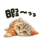 お正月猫にゃん♡年末年始（個別スタンプ：27）