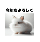 十二支全部 あけおめ 年賀状 リアル（個別スタンプ：12）