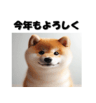 十二支全部 あけおめ 年賀状 リアル（個別スタンプ：36）