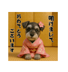 毎年使えるミニチュアシュナウザー年末年始（個別スタンプ：1）