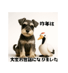 毎年使えるミニチュアシュナウザー年末年始（個別スタンプ：5）