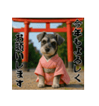 毎年使えるミニチュアシュナウザー年末年始（個別スタンプ：7）